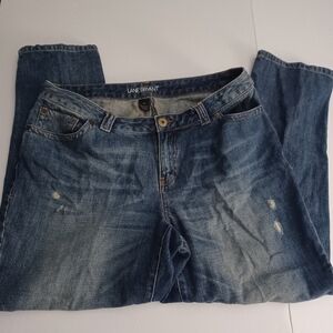 Lane Bryant Boyfriend Distresse Denim Jeans Sz 14